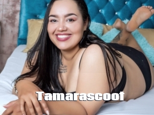 Tamarascoot