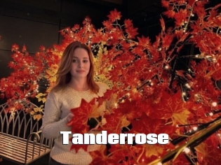 Tanderrose