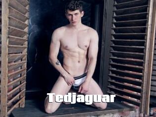 Tedjaguar