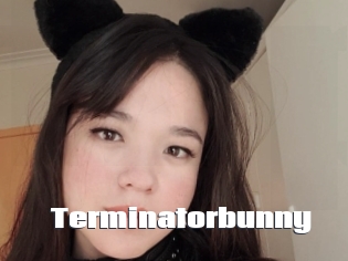 Terminatorbunny