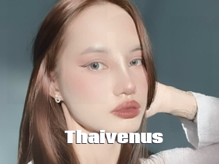 Thaivenus