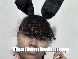 Thatbimbobunny