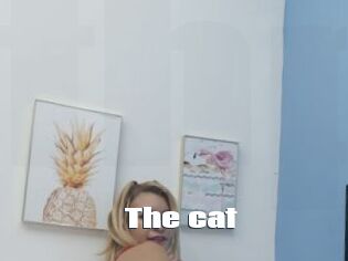 The_cat