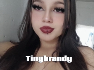 Tinybrandy