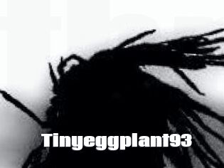 Tinyeggplant93