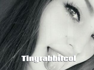 Tinyrabbitcol
