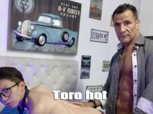 Toro_hot