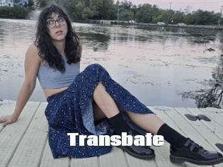 Transbate