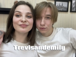 Trevisandemily