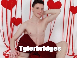 Tylerbridges