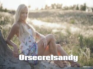 Ursecretsandy