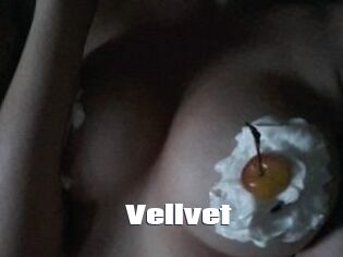 Vellvet