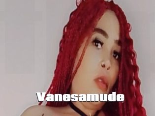 Vanesamude