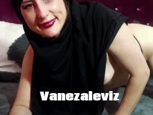 Vanezaleviz