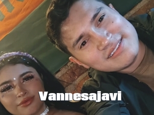 Vannesajavi