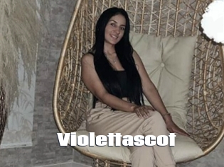 Violettascot