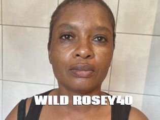 WILD_ROSEY40