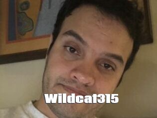 Wildcat315