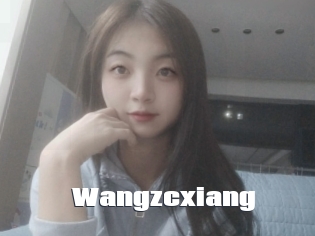 Wangzcxiang