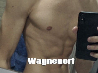 Waynenort