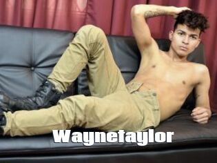 Waynetaylor