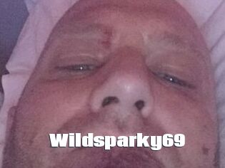 wildsparky69 The hot porn