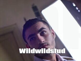 Wildwildstud