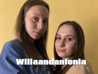 Willaandantonia