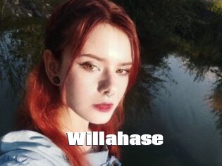Willahase