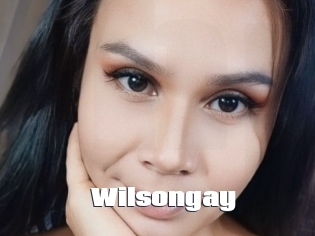 Wilsongay