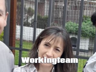 Workingteam