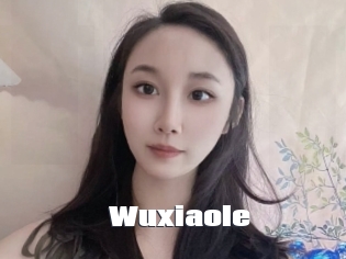 wuxiaole The hot porn