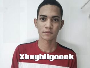 Xboybiigcock