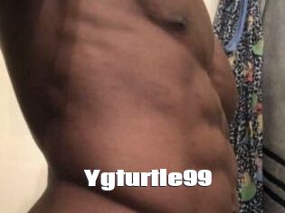Ygturtle99