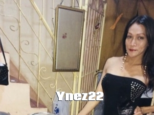 Ynez22