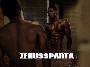 ZEHUS_SPARTA