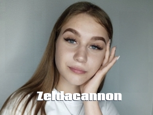 Zeldacannon